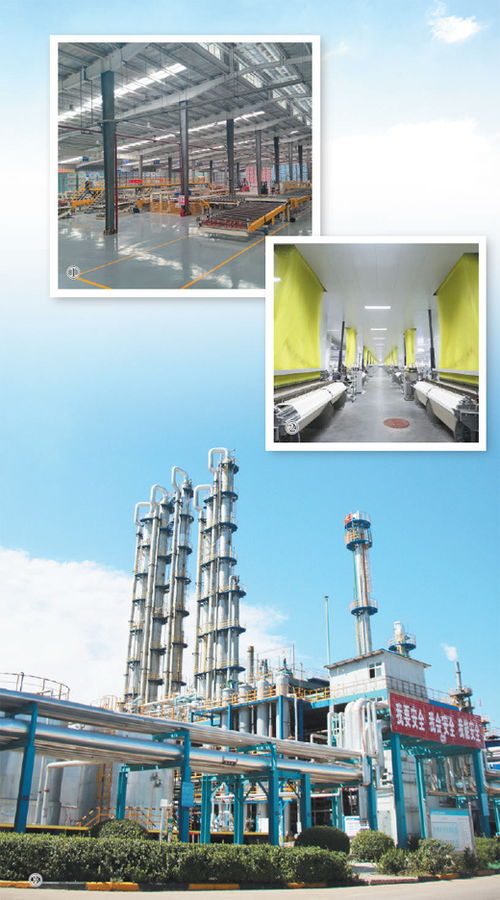 绿色转型赋能产业新生 以技术推广深入推进新型工业化的深度观察