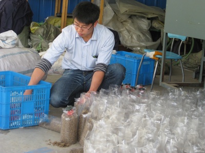 上海技术推广 构建产业服务新高地